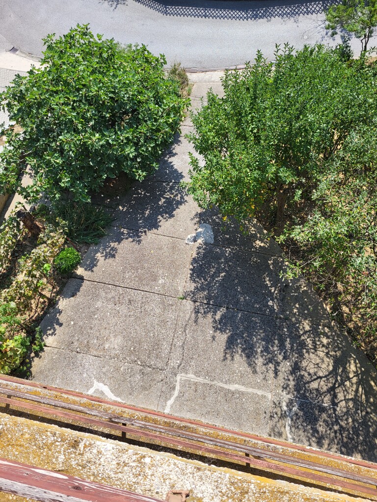 Image 5155722 - 2