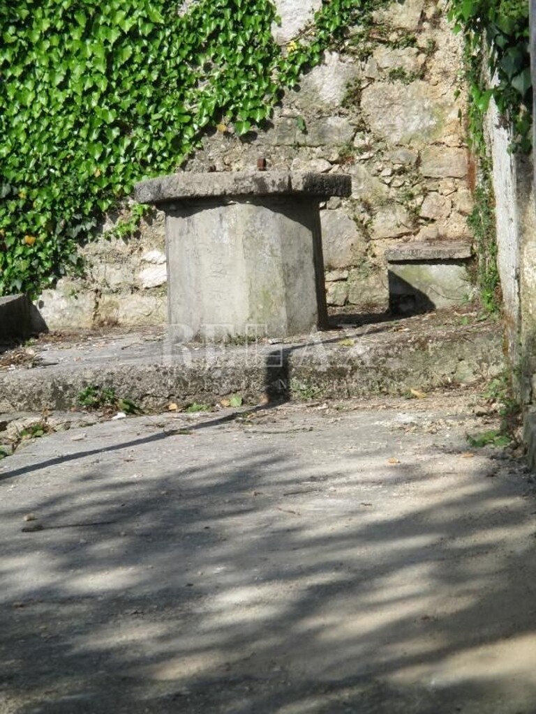 Image 5160883 - 3