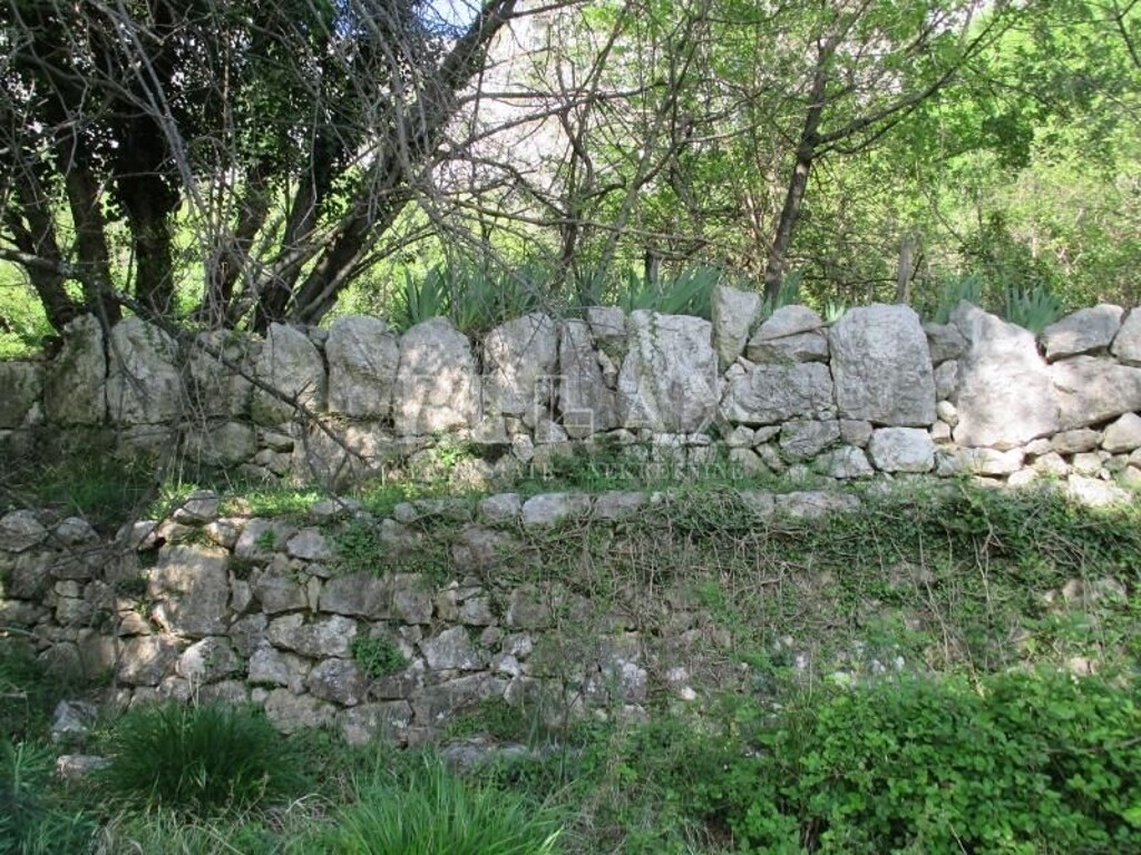 Image 5160883 - 13