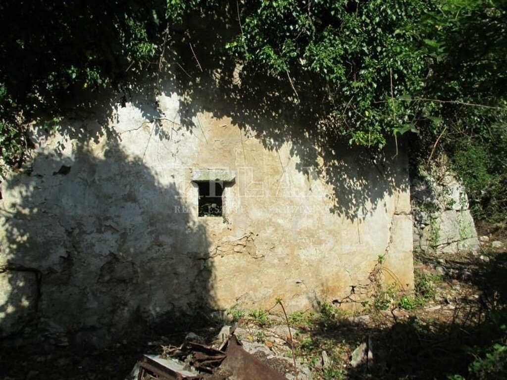 Image 5160883 - 5