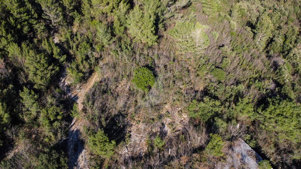 Image 5165221 - 5