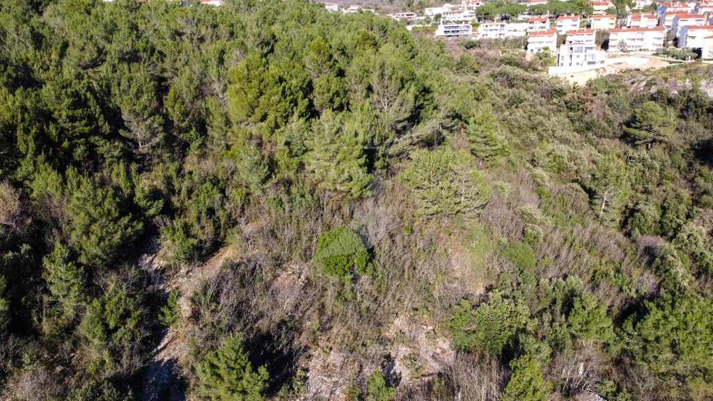 Image 5165221 - 4
