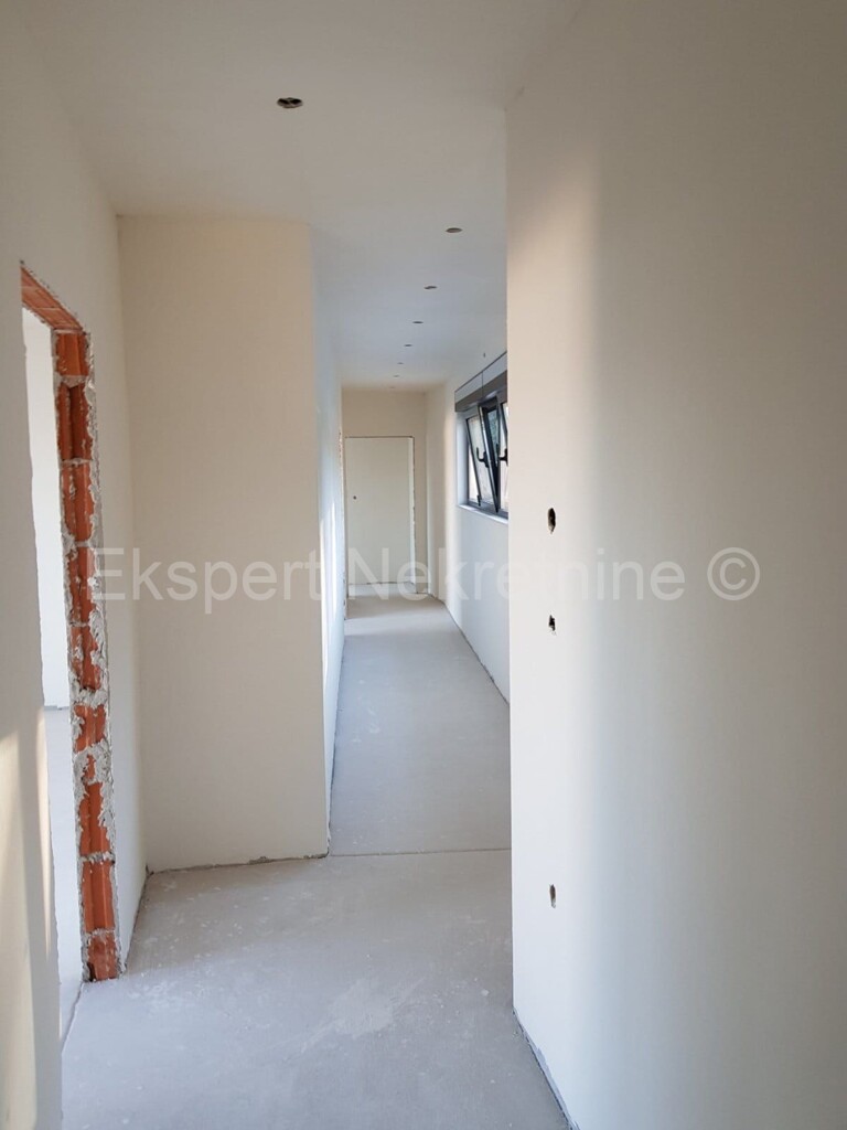 Image 5168344 - 2