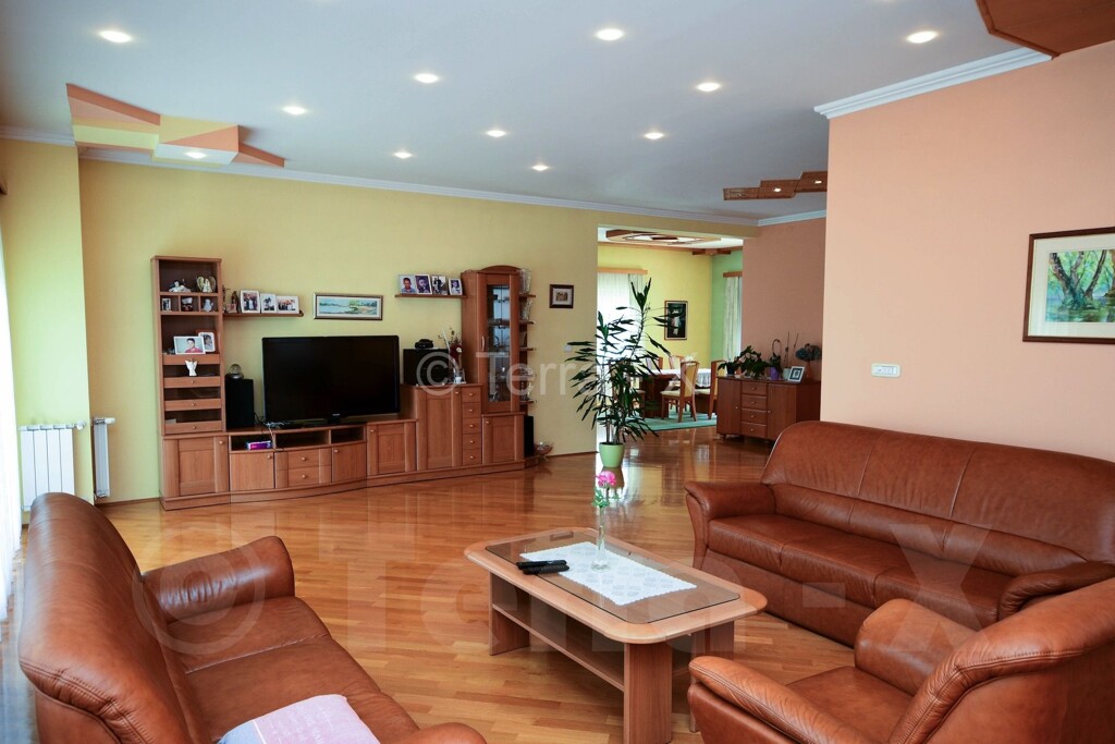 Image 5168350 - 8