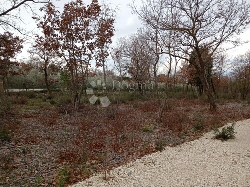 Thumbnail 5171309 - 8