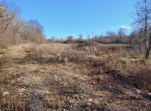 Thumbnail 5174146 - 3