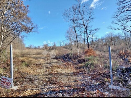 Thumbnail 5174146 - 2