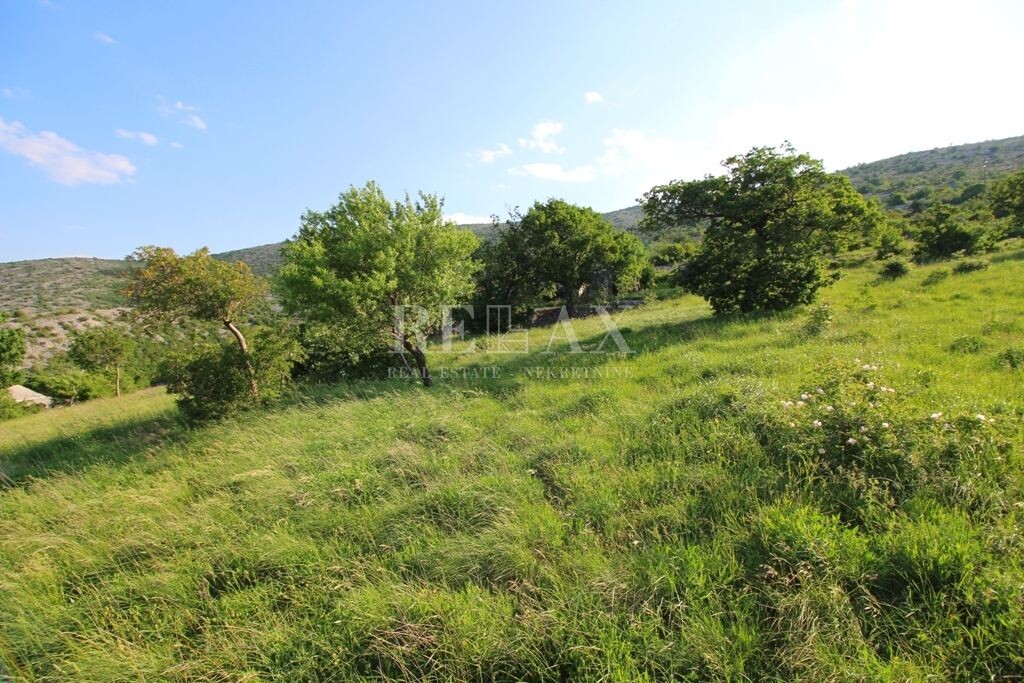 Image 5174324 - 8