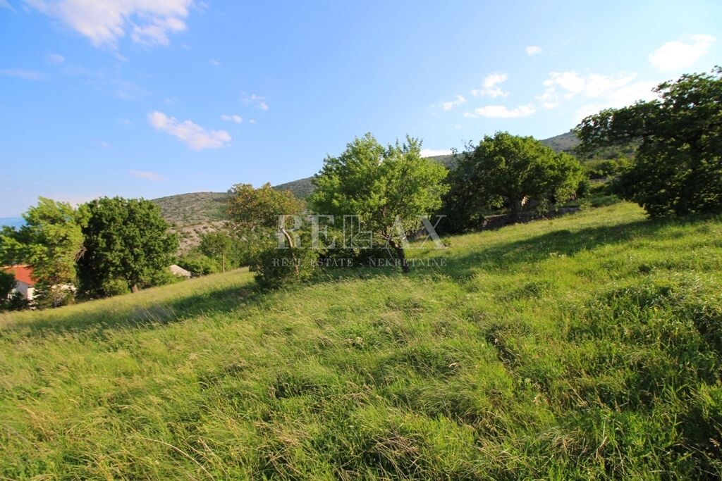 Image 5174324 - 7