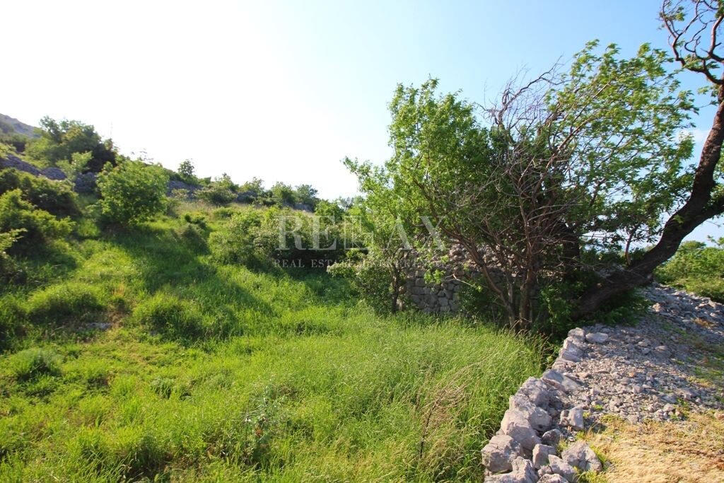Image 5174324 - 20