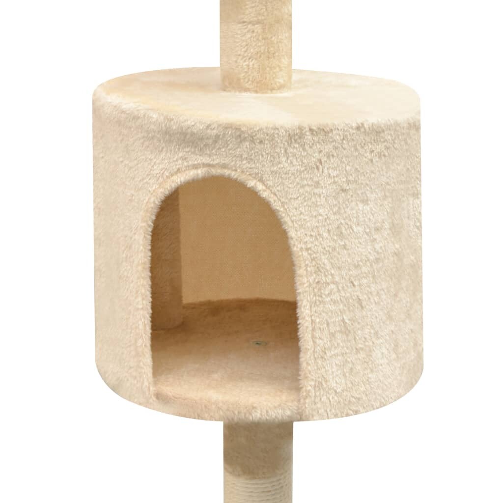 Image 5175789 - 2