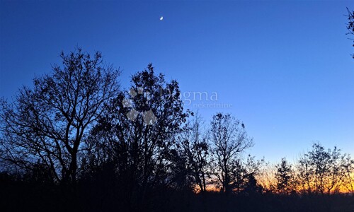 Thumbnail 5177029 - 3