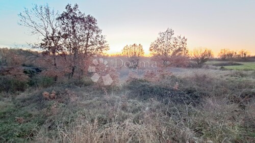 Thumbnail 5177029 - 1