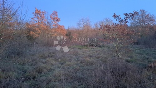 Thumbnail 5177029 - 2