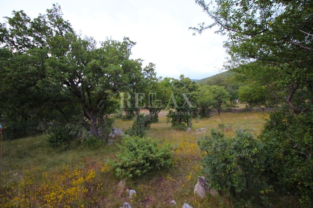 Image 5177165 - 10