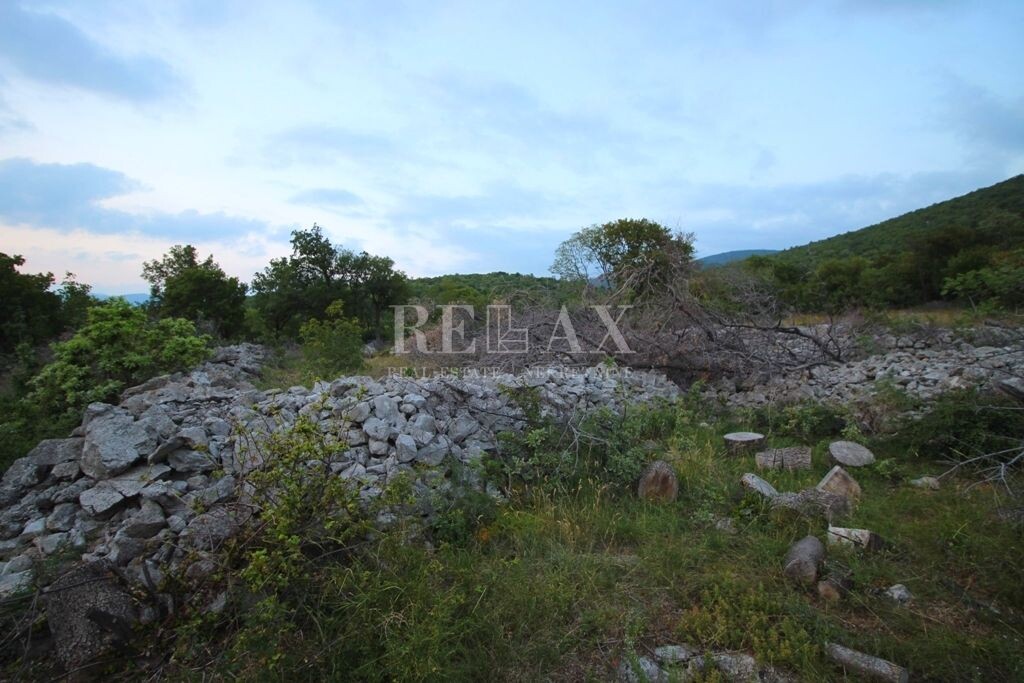 Image 5177165 - 8