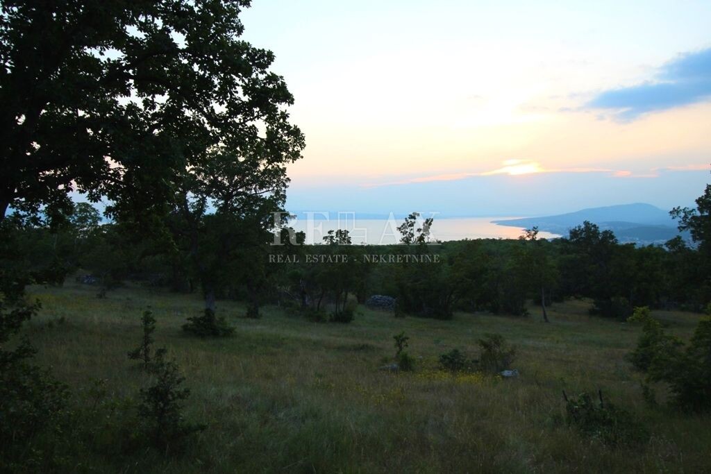 Image 5177165 - 5