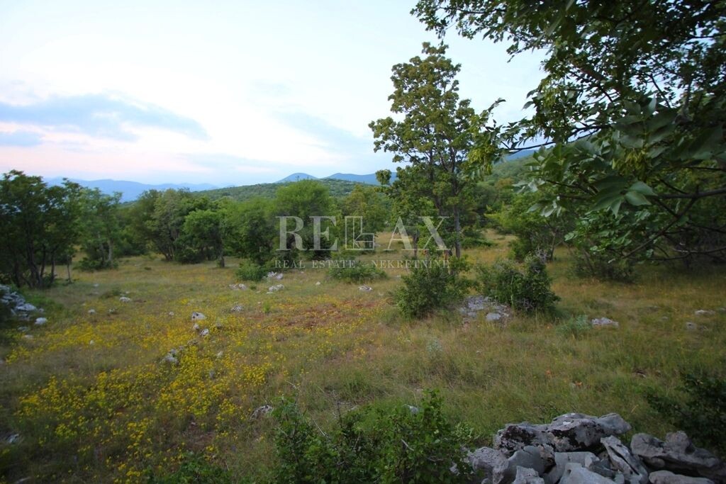 Image 5177165 - 9