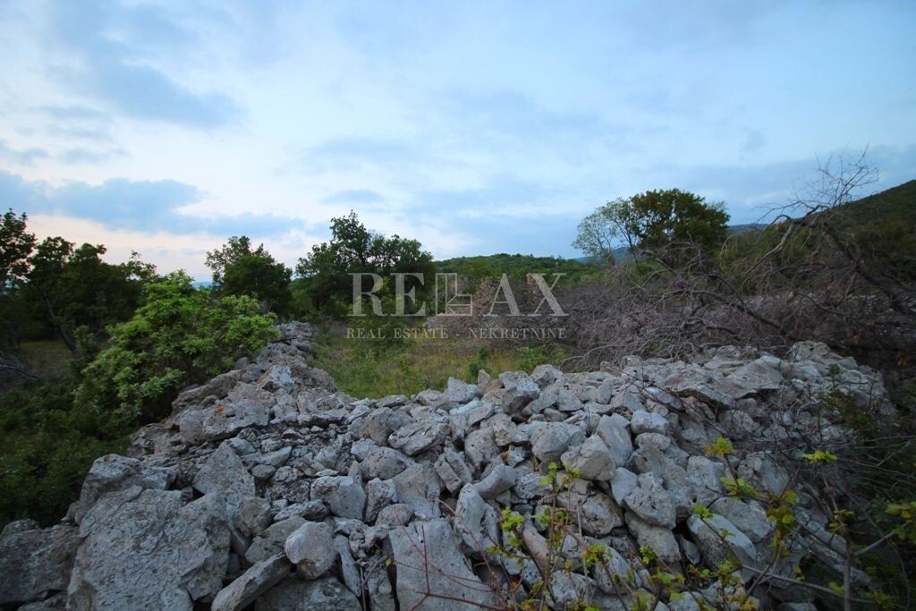 Image 5177165 - 7
