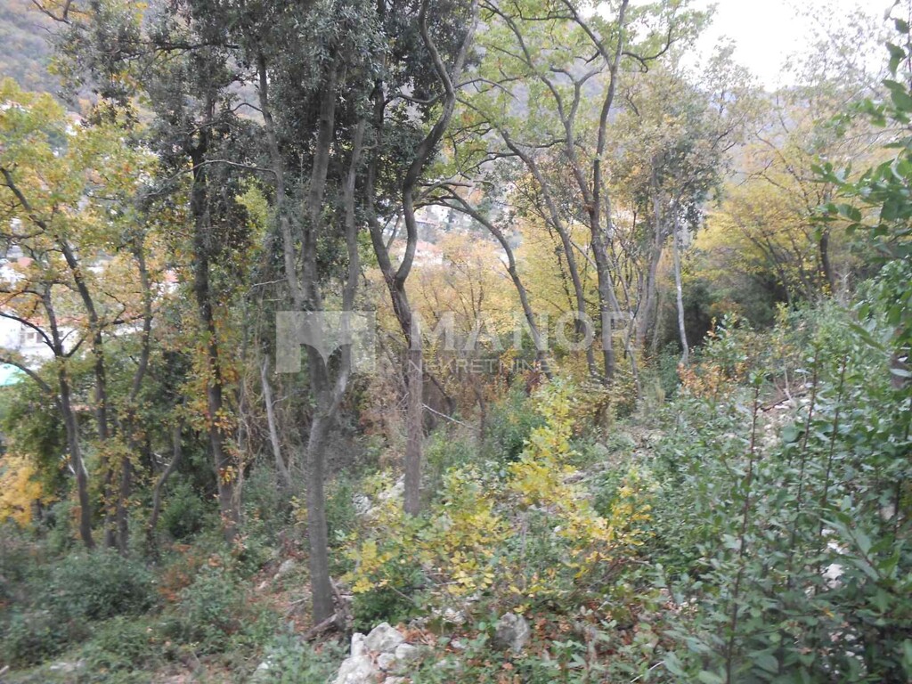 Image 5177214 - 2