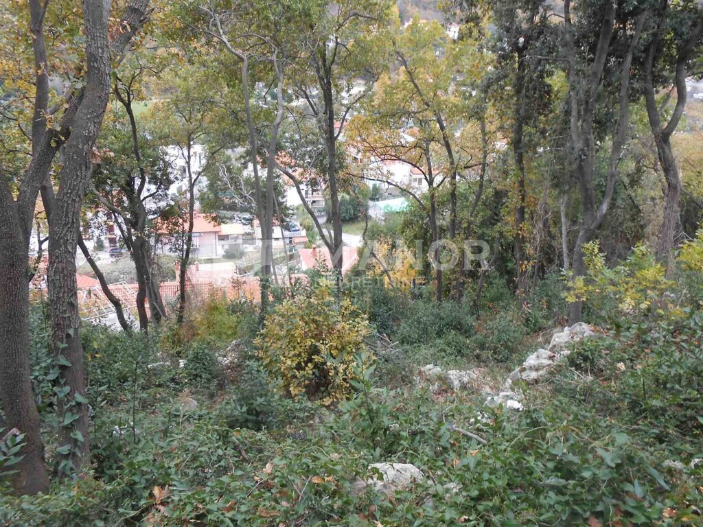 Image 5177214 - 1