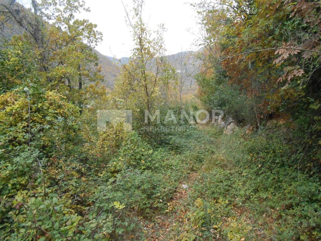 Image 5177214 - 3