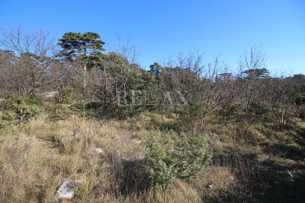 Image 5177419 - 4
