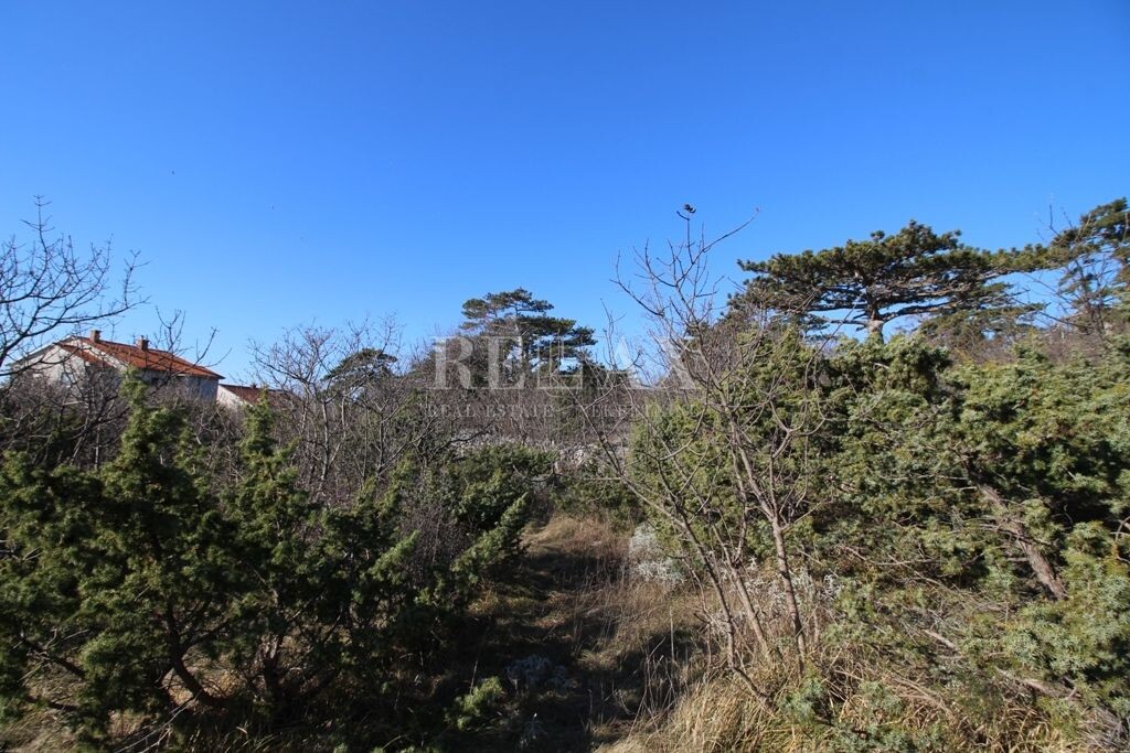 Image 5177419 - 3