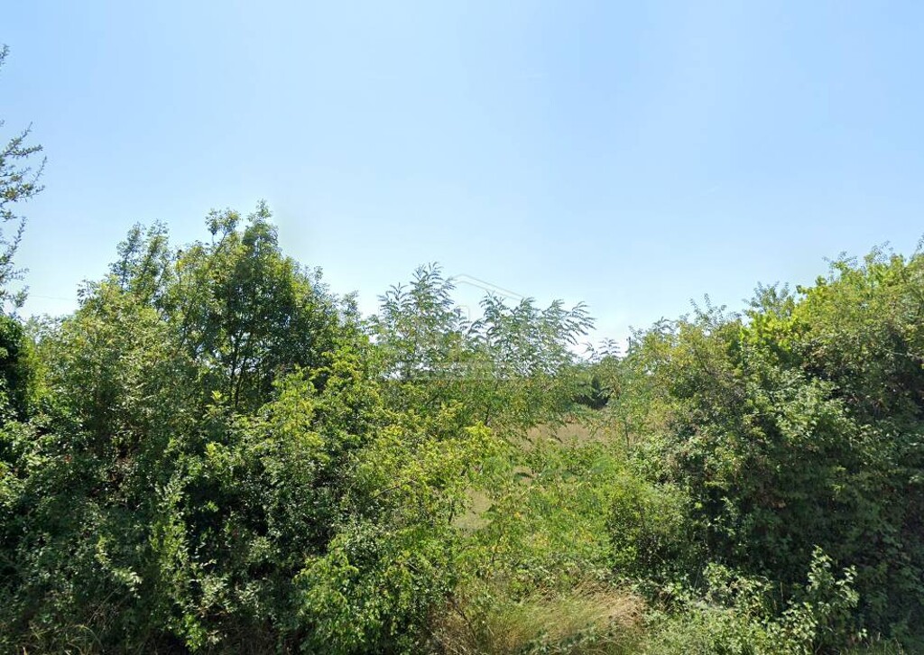 Image 5178769 - 1