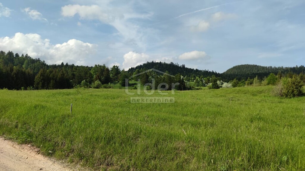 Image 5178797 - 4