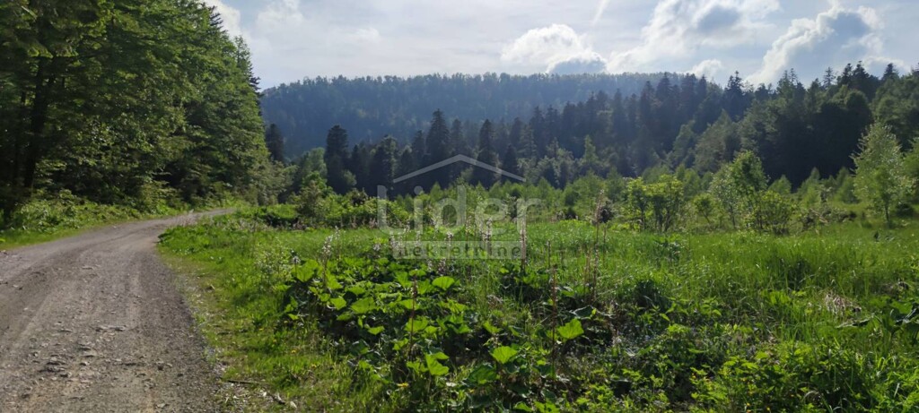 Image 5178797 - 1