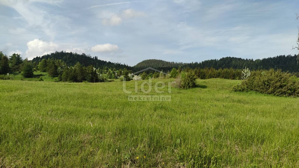 Image 5178797 - 3