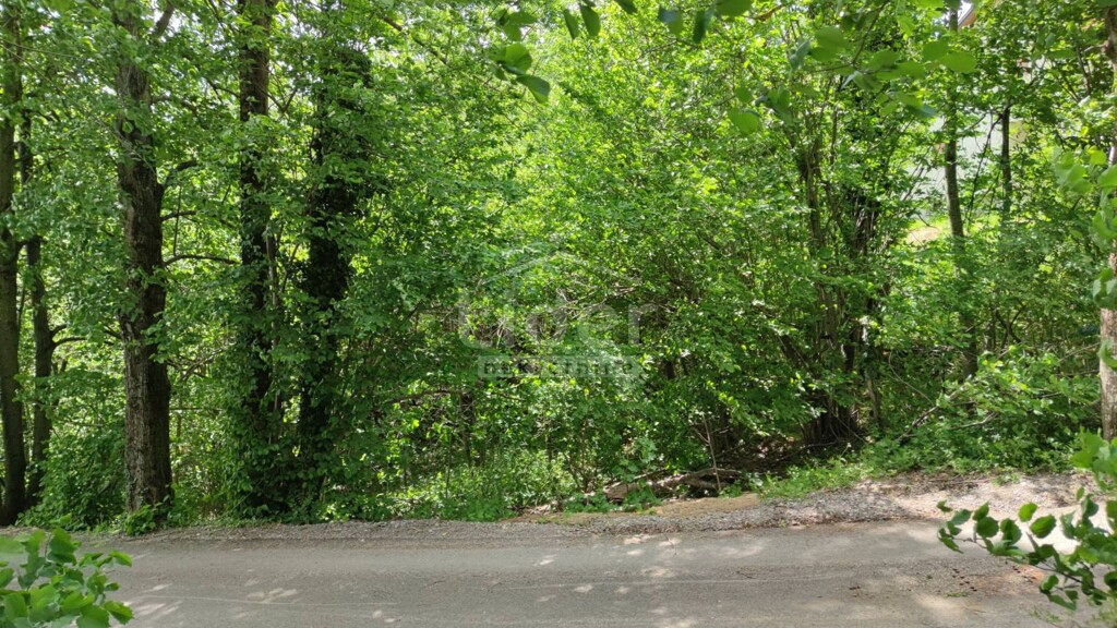 Image 5178798 - 1