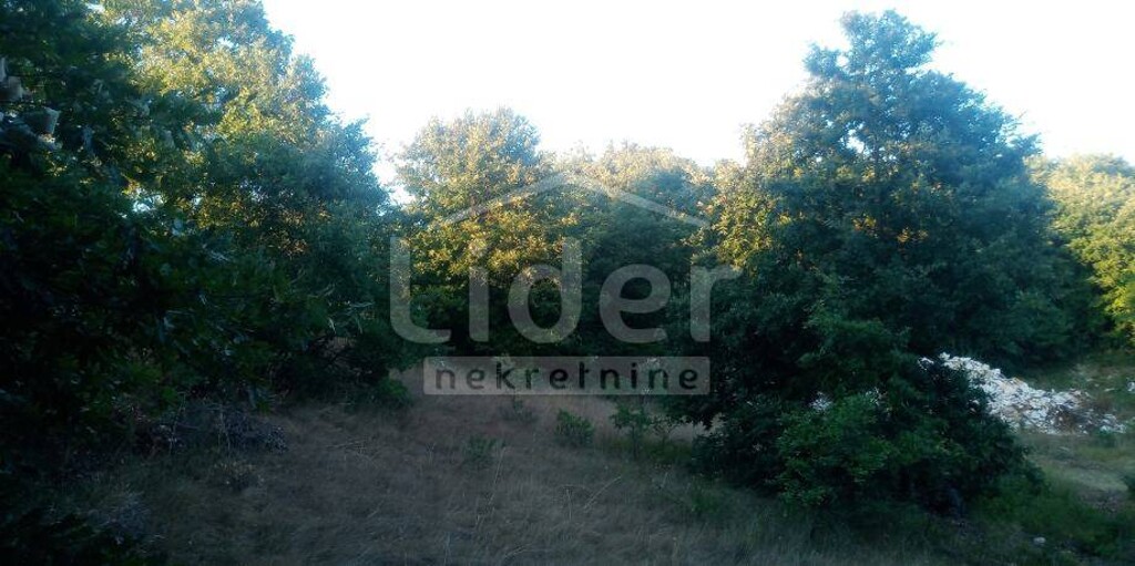 Image 5178808 - 3