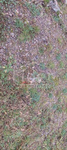 Thumbnail 5178845 - 2