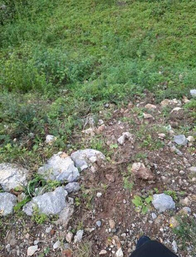 Image 5178845 - 7