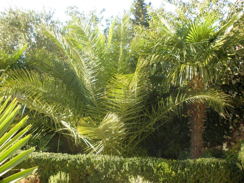 Image 5178850 - 3