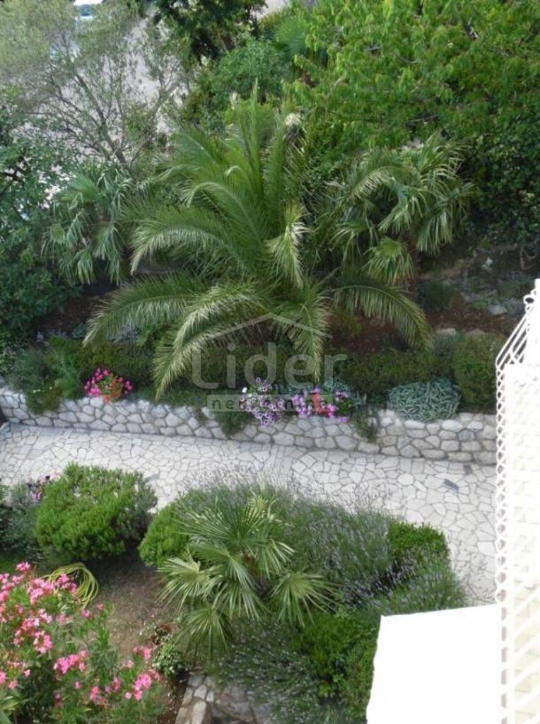 Image 5178850 - 2