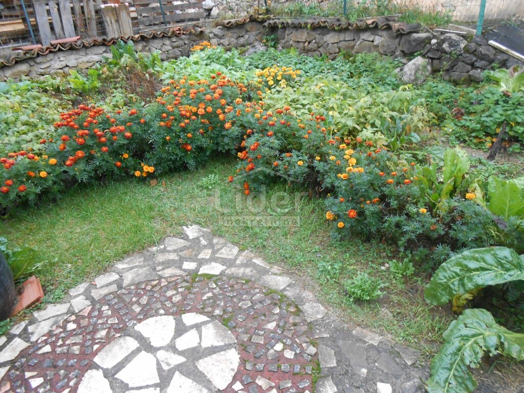 Image 5178863 - 1