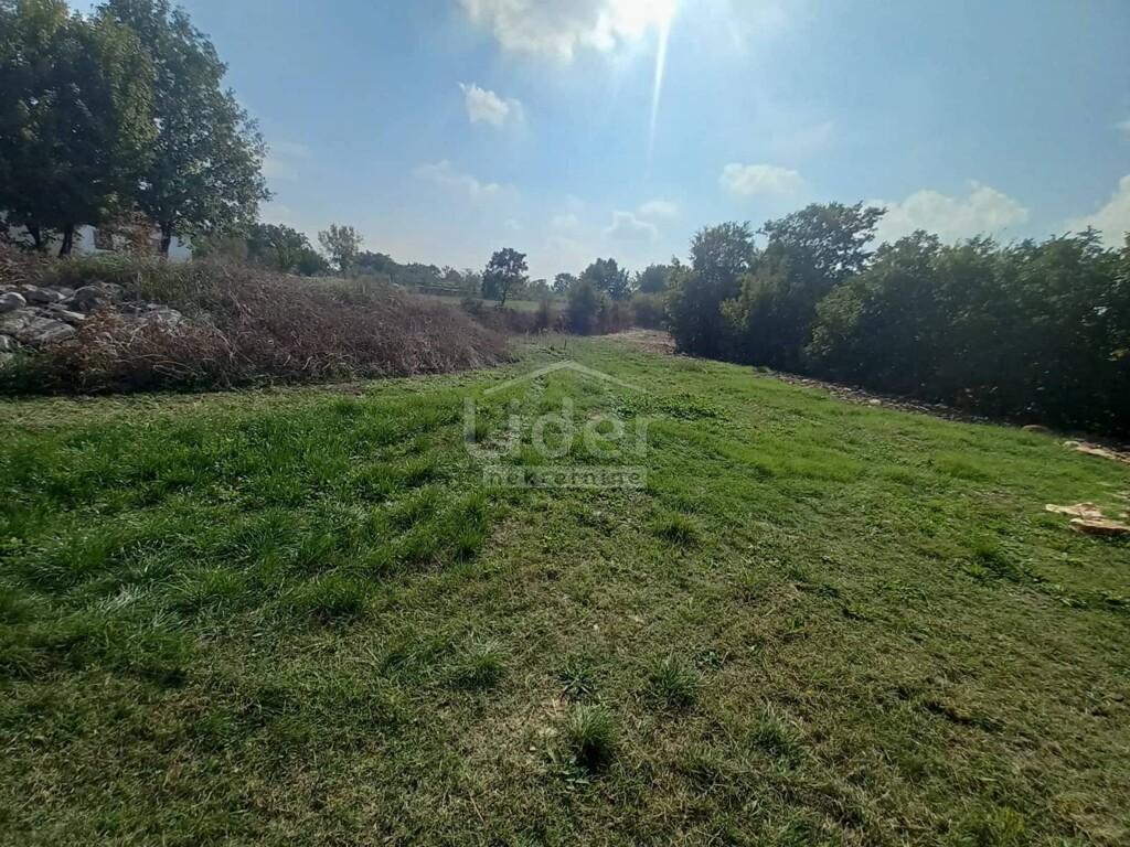 Image 5178897 - 4
