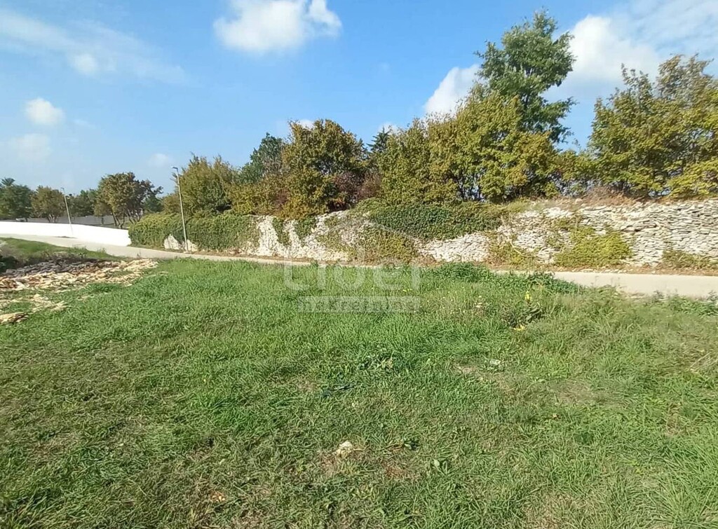 Image 5178897 - 2