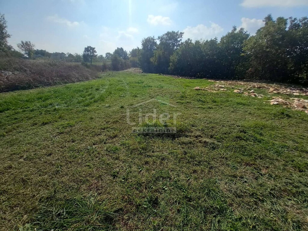 Image 5178897 - 3