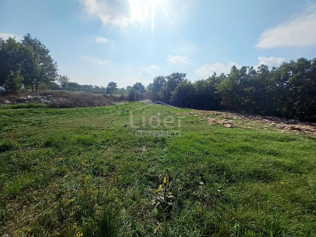 Image 5178897 - 1