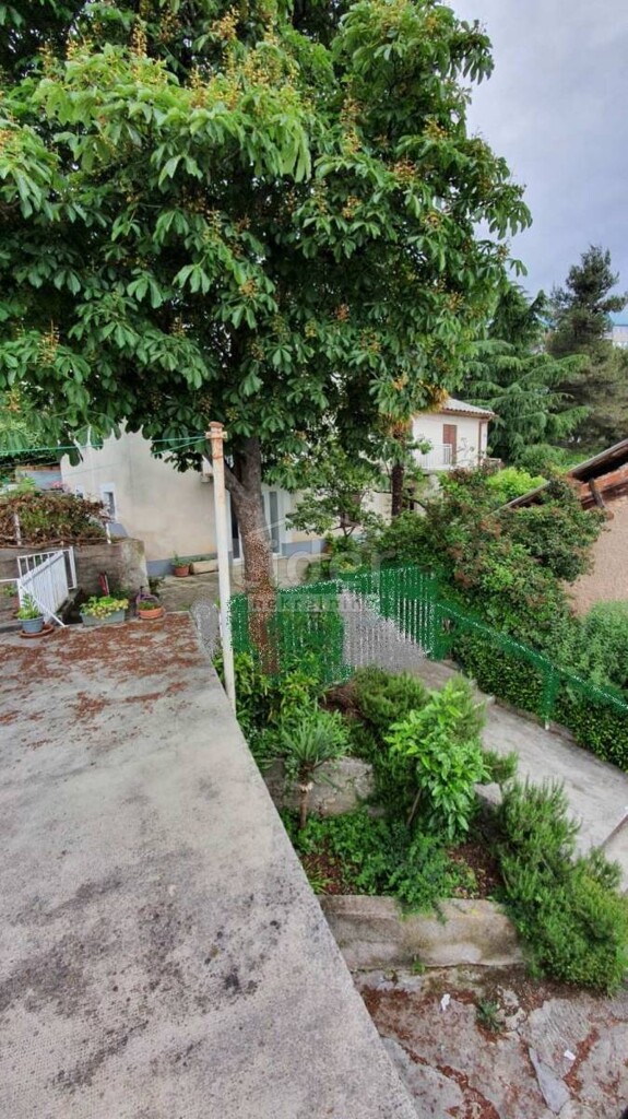 Image 5178908 - 16