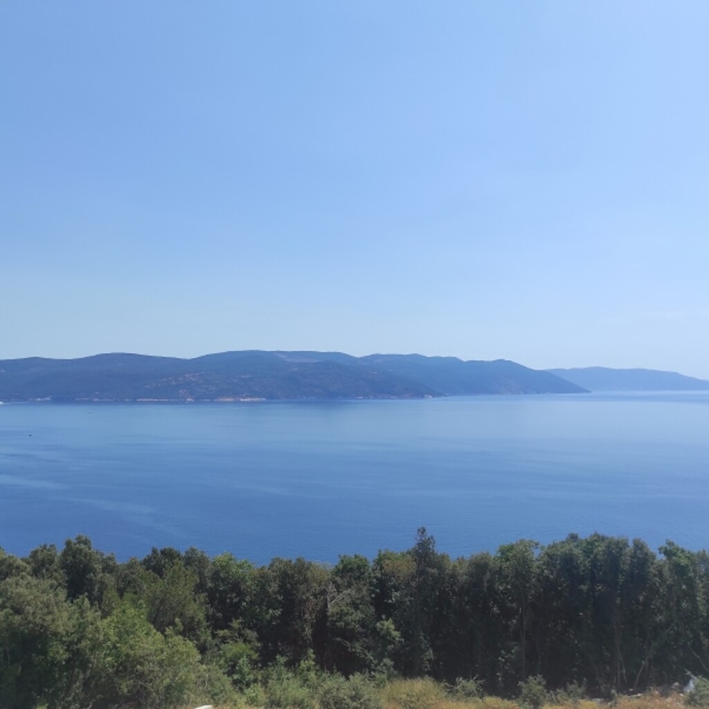 Image 5178917 - 6