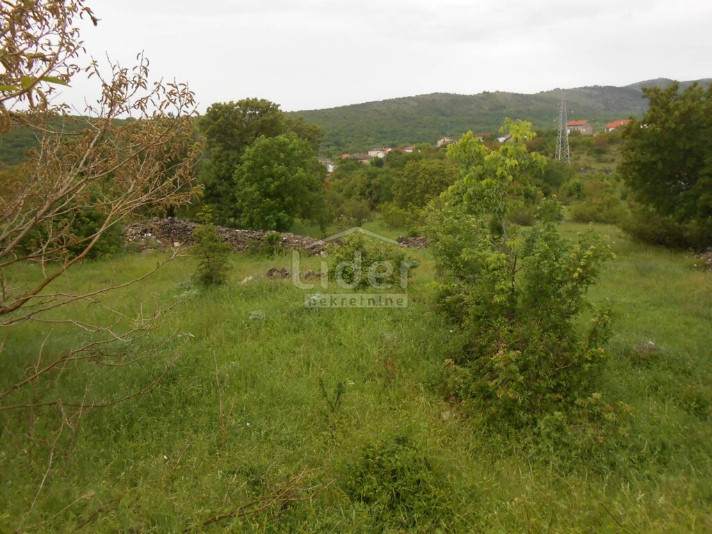 Image 5178920 - 1