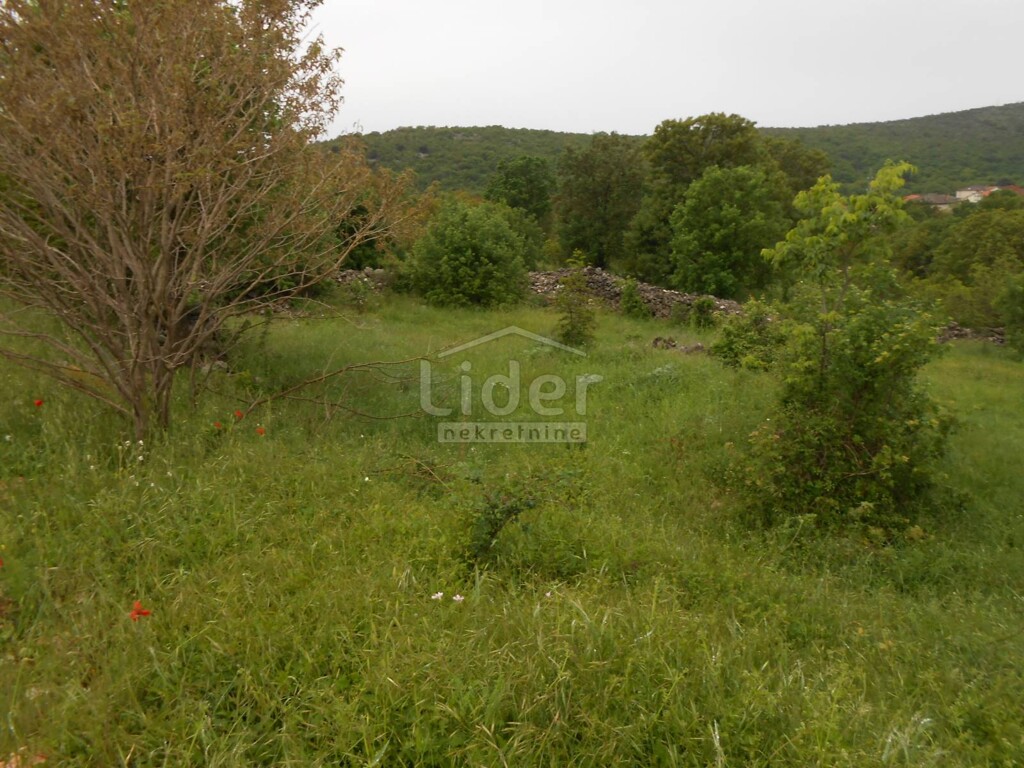 Image 5178920 - 4