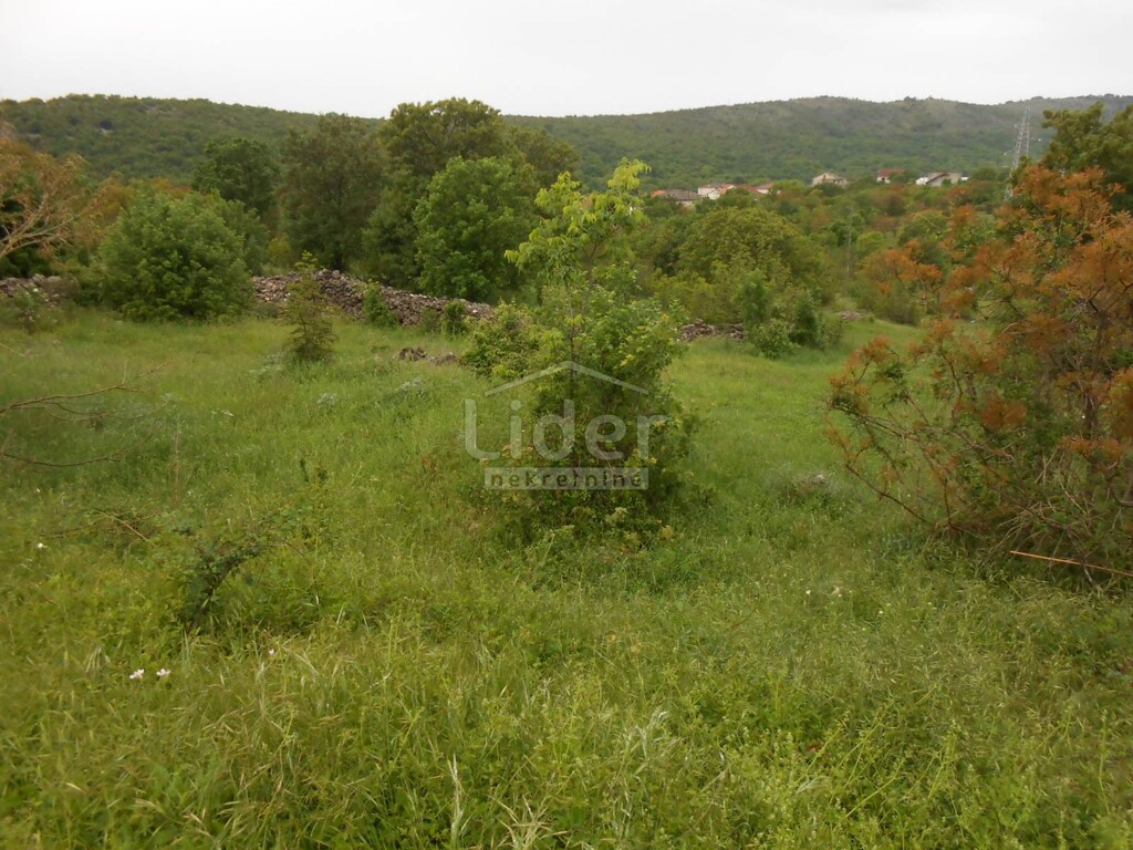 Image 5178920 - 3