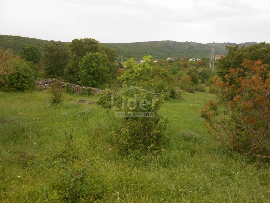 Image 5178920 - 2