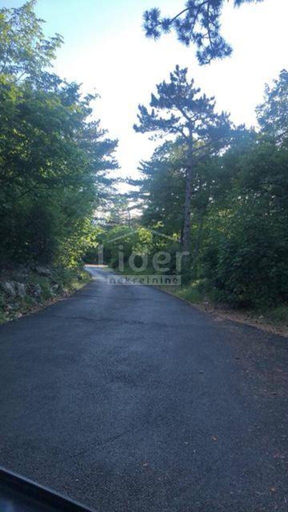 Image 5178982 - 3